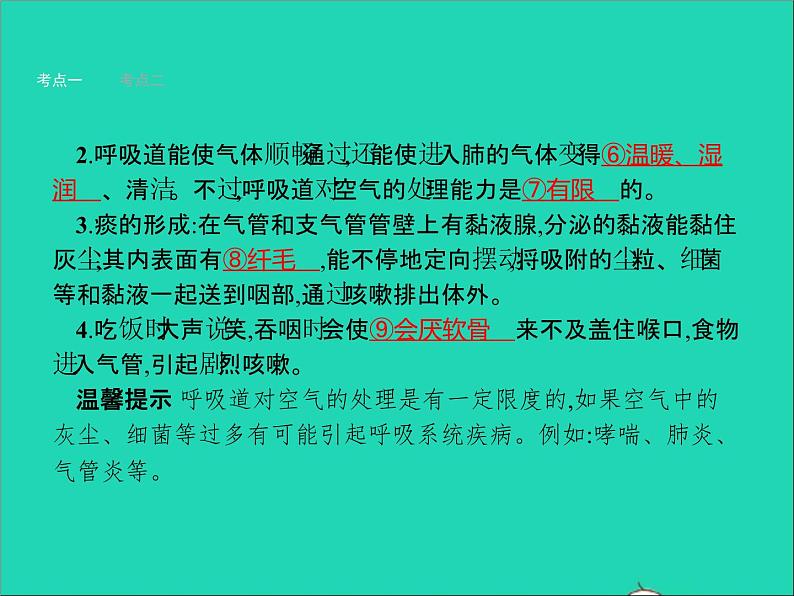 初中生物中考复习 中考生物总复习第十一讲人体的呼吸课件第3页