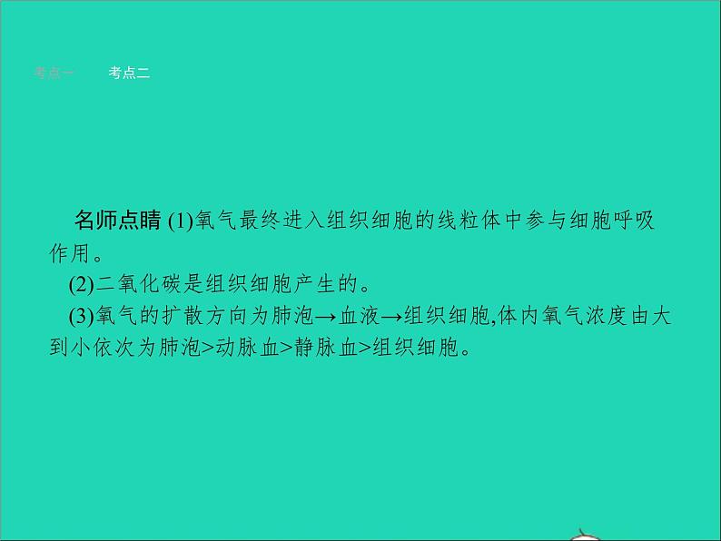 初中生物中考复习 中考生物总复习第十一讲人体的呼吸课件第7页