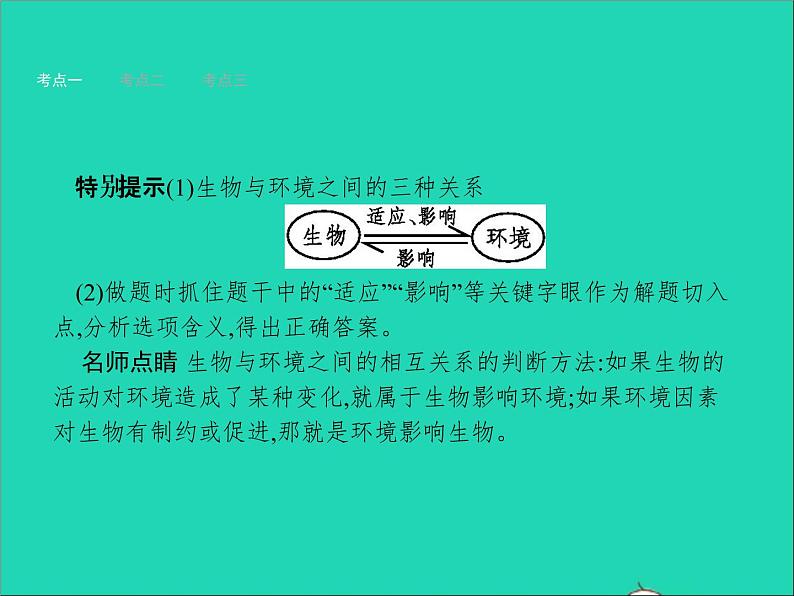 初中生物中考复习 中考生物总复习第二讲了解生物圈课课件PPT05