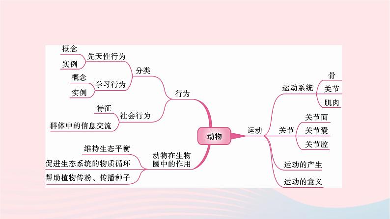 初中生物中考复习 中考生物总复习第一部分基醇点巩固第五单元生物圈中的其他生物第二三章动物的运动和行为及动物在生物圈中的作用课件第2页