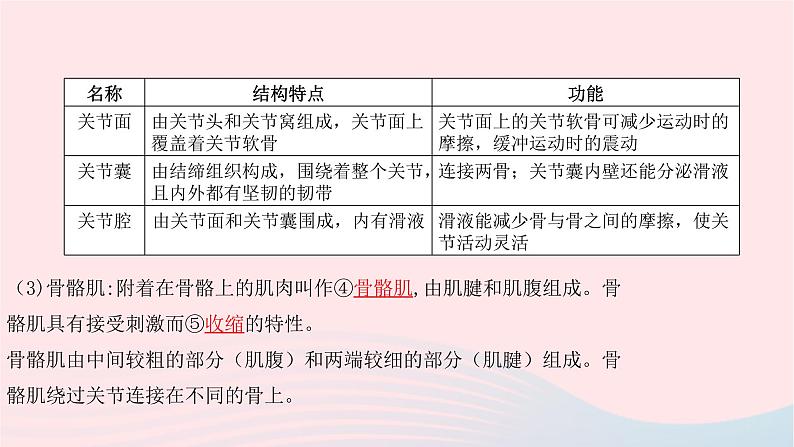 初中生物中考复习 中考生物总复习第一部分基醇点巩固第五单元生物圈中的其他生物第二三章动物的运动和行为及动物在生物圈中的作用课件第4页