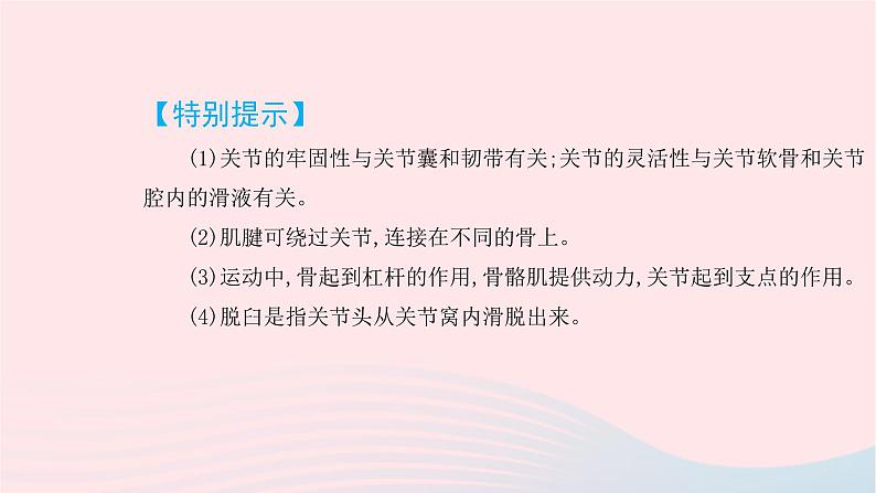 初中生物中考复习 中考生物总复习第一部分基醇点巩固第五单元生物圈中的其他生物第二三章动物的运动和行为及动物在生物圈中的作用课件第5页