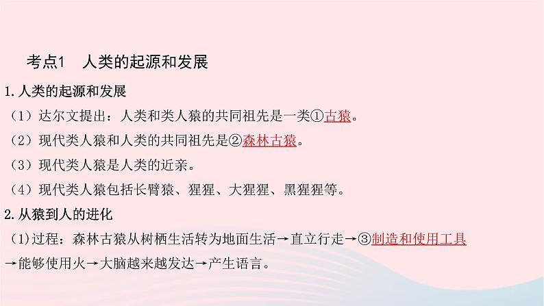 初中生物中考复习 中考生物总复习第一部分基醇点巩固第四单元生物圈中的人第一章人的由来课件第3页