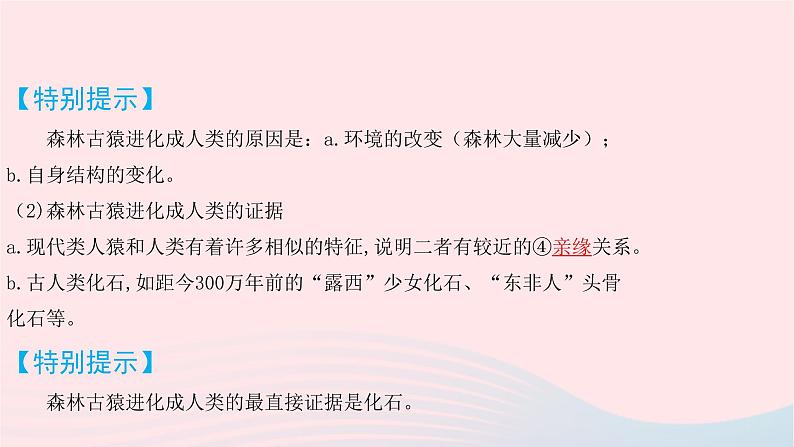 初中生物中考复习 中考生物总复习第一部分基醇点巩固第四单元生物圈中的人第一章人的由来课件第4页