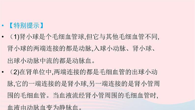 初中生物中考复习 中考生物总复习第一部分基醇点巩固第四单元生物圈中的人第五章人体内废物的排出课件06