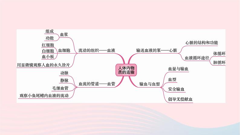 初中生物中考复习 中考生物总复习第一部分基醇点巩固第四单元生物圈中的人第四章人体内物质的运输课件第2页