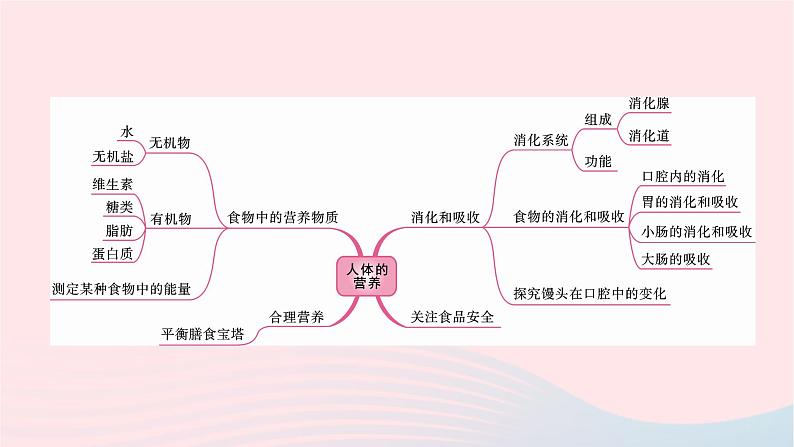 初中生物中考复习 中考生物总复习第一部分基醇点巩固第四单元生物圈中的人第二章人体的营养课件02