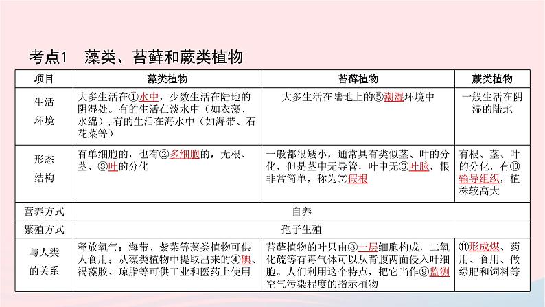 初中生物中考复习 中考生物总复习第一部分基醇点巩固第三单元生物圈中的绿色植物第一章生物圈中有哪些绿色植物课件03