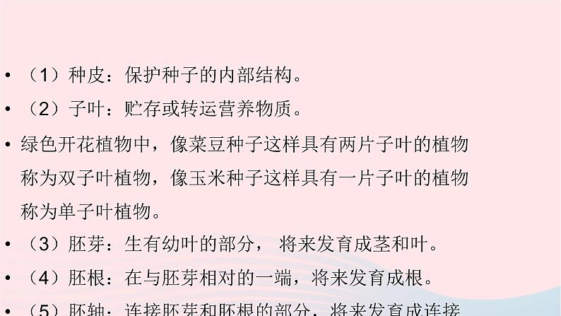 初中生物中考复习 中考生物总复习第一部分基醇点巩固第三单元生物圈中的绿色植物第一章生物圈中有哪些绿色植物课件06