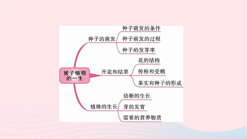 初中生物中考复习 中考生物总复习第一部分基醇点巩固第三单元生物圈中的绿色植物第二章被子植物的一生课件02