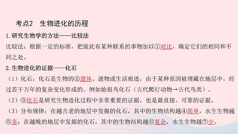 初中生物中考复习 中考生物总复习第一部分基醇点巩固第七单元生物圈中生命的延续和发展第三章生命起源和生物进化课件第7页