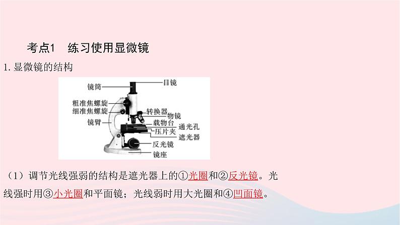 初中生物中考复习 中考生物总复习第一部分基醇点巩固第二单元生物体的结构层次第一章细胞是生命活动的基本单位课件第3页