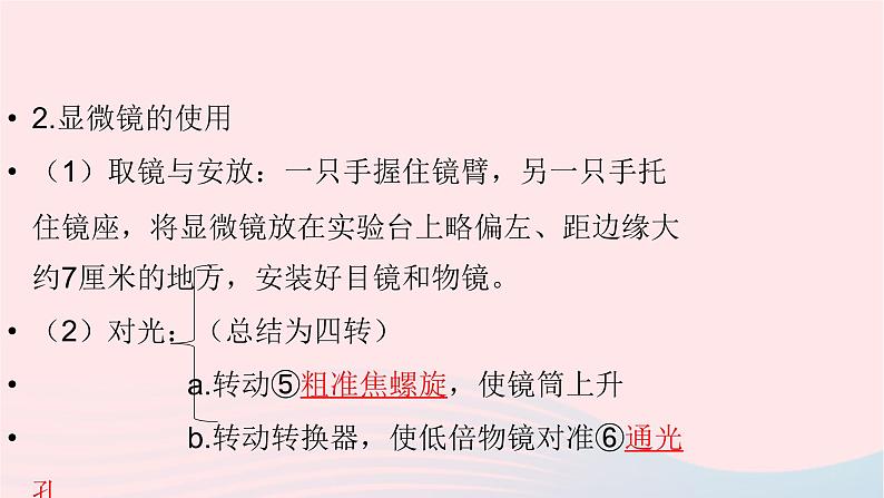 初中生物中考复习 中考生物总复习第一部分基醇点巩固第二单元生物体的结构层次第一章细胞是生命活动的基本单位课件第5页