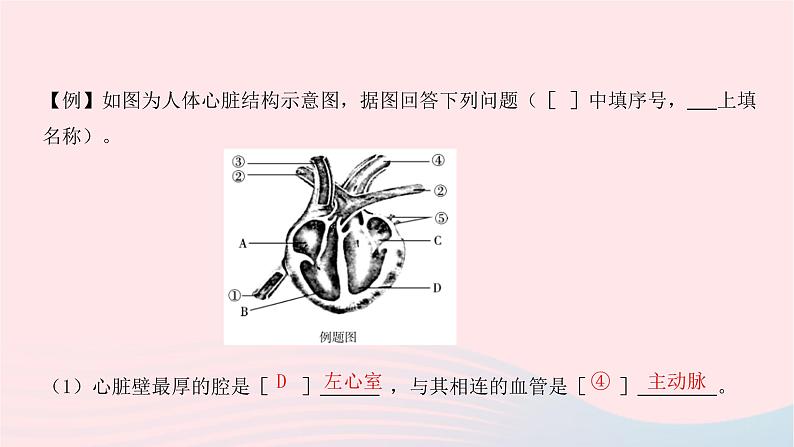 初中生物中考复习 中考生物总复习第二部分重点题型探究题型二识图题第五类血液课件第3页