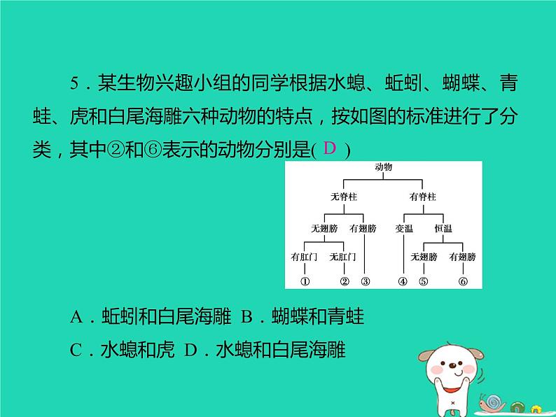 初中生物中考复习 中考生物总复习仿真测试卷五测试范围：生物的多样性课件第5页