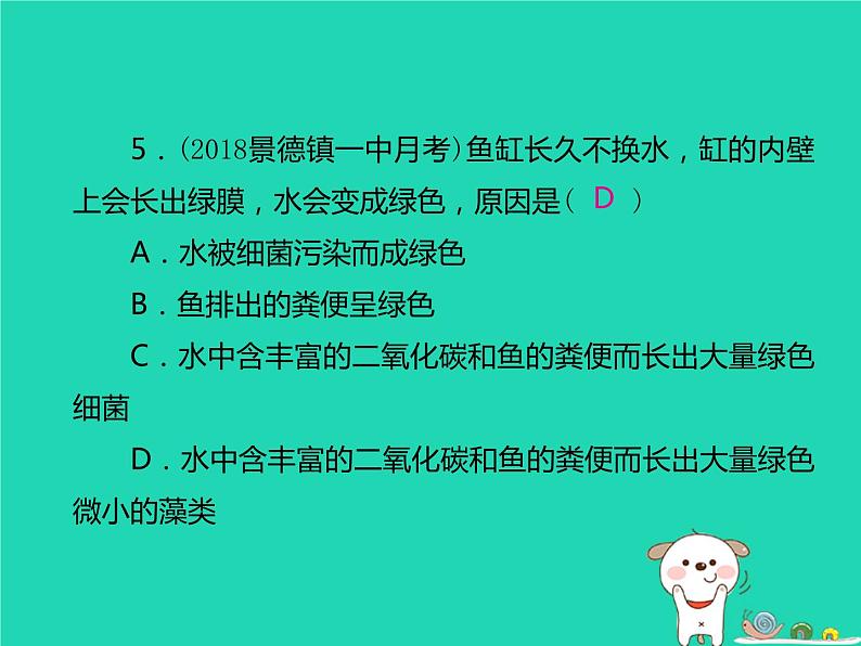 初中生物中考复习 中考生物总复习仿真测试卷二测试范围：生物与环境　生物圈中的绿色植物课件第6页