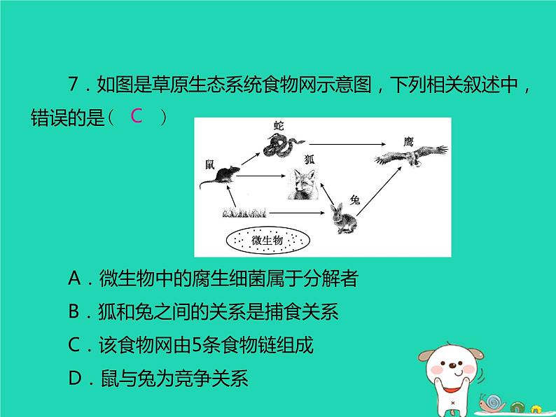 初中生物中考复习 中考生物总复习仿真测试卷二测试范围：生物与环境　生物圈中的绿色植物课件第8页