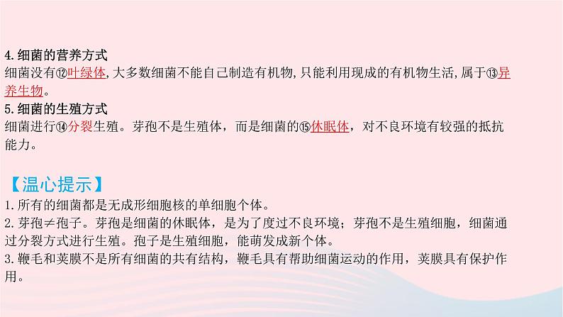 初中生物中考复习 中考生物总复习第一部分基醇点巩固第五单元生物圈中的其他生物第四五章细菌真菌以及簿课件第7页