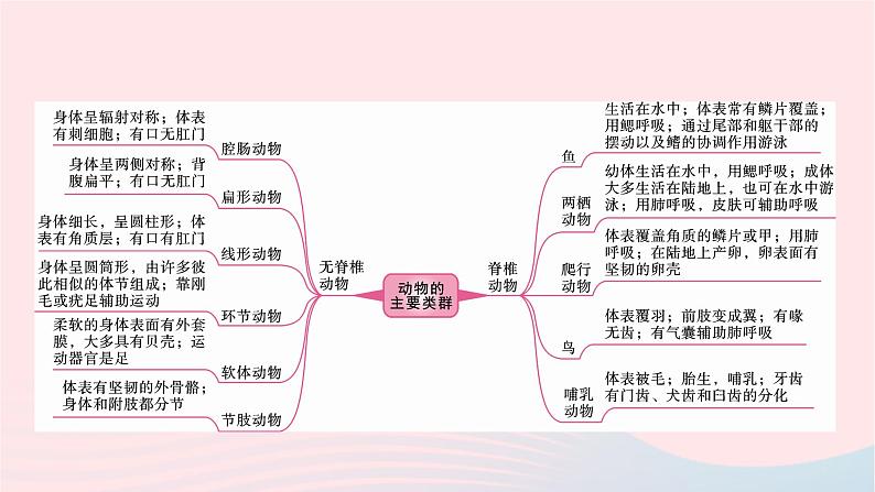 初中生物中考复习 中考生物总复习第一部分基醇点巩固第五单元生物圈中的其他生物第一章动物的主要类群课件02