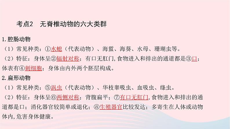 初中生物中考复习 中考生物总复习第一部分基醇点巩固第五单元生物圈中的其他生物第一章动物的主要类群课件05