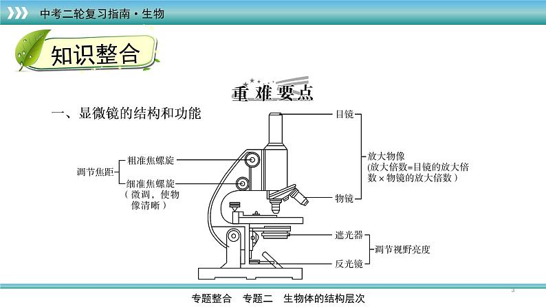 初中生物中考复习 专题03生物体的结构层次（上课用课件）-【过专题】2022年中考生物二轮精准高效复习第3页