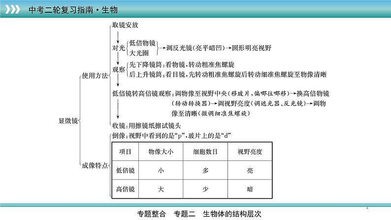 初中生物中考复习 专题03生物体的结构层次（上课用课件）-【过专题】2022年中考生物二轮精准高效复习第4页