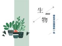 初中生物中考复习 专题03 绿色开花植物的一生-冲刺2022年中考生物重点难点热点突破精讲课件