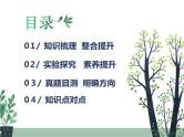 初中生物中考复习 专题03 绿色开花植物的一生-冲刺2022年中考生物重点难点热点突破精讲课件