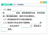 初中生物中考复习 专题03 绿色开花植物的一生-冲刺2022年中考生物重点难点热点突破精讲课件