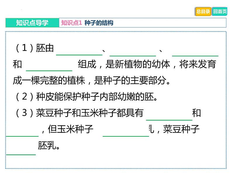 初中生物中考复习 专题03 绿色开花植物的一生-冲刺2022年中考生物重点难点热点突破精讲课件05