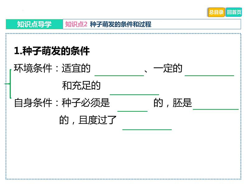 初中生物中考复习 专题03 绿色开花植物的一生-冲刺2022年中考生物重点难点热点突破精讲课件08