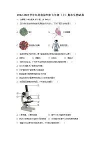 2022-2023学年江苏省徐州市七年级（上）期末生物试卷（含解析）