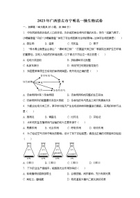 2023年广西崇左市宁明县一模生物试卷（含解析）