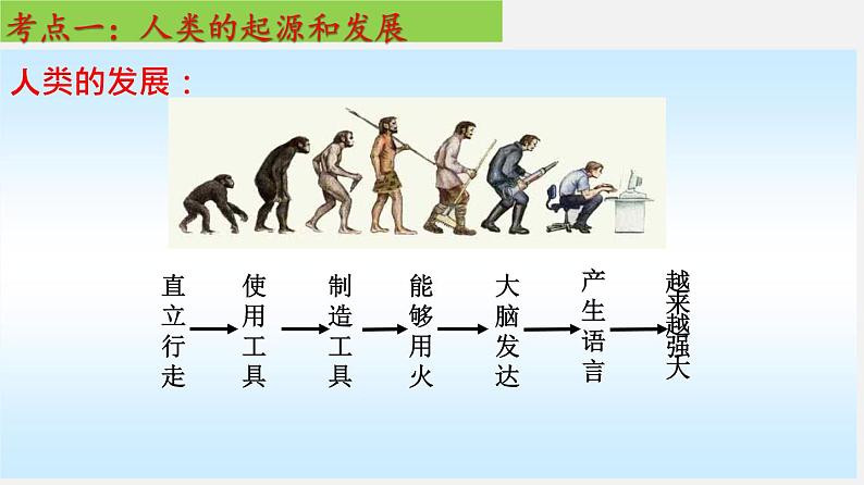 单元复习01 人的由来【知识梳理】——2022-2023学年人教版生物七年级下册单元综合复习05