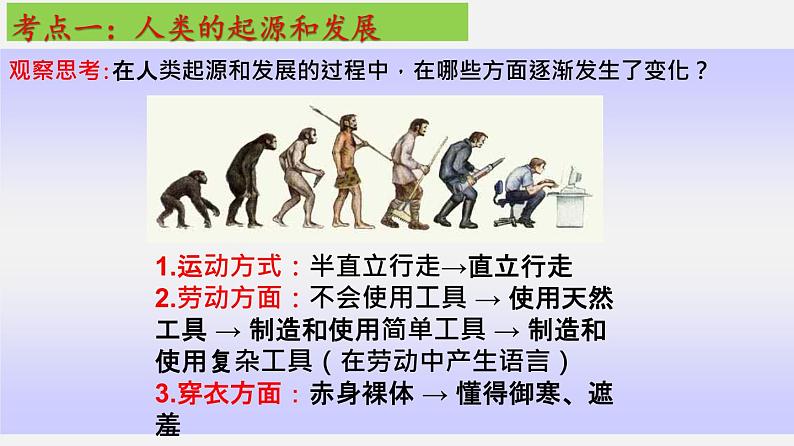 单元复习01 人的由来【知识梳理】——2022-2023学年人教版生物七年级下册单元综合复习06