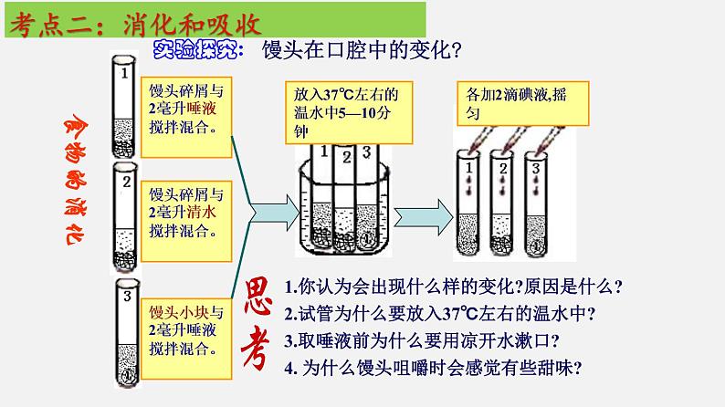 单元复习02 人体的营养【知识梳理】——2022-2023学年人教版生物七年级下册单元综合复习第7页