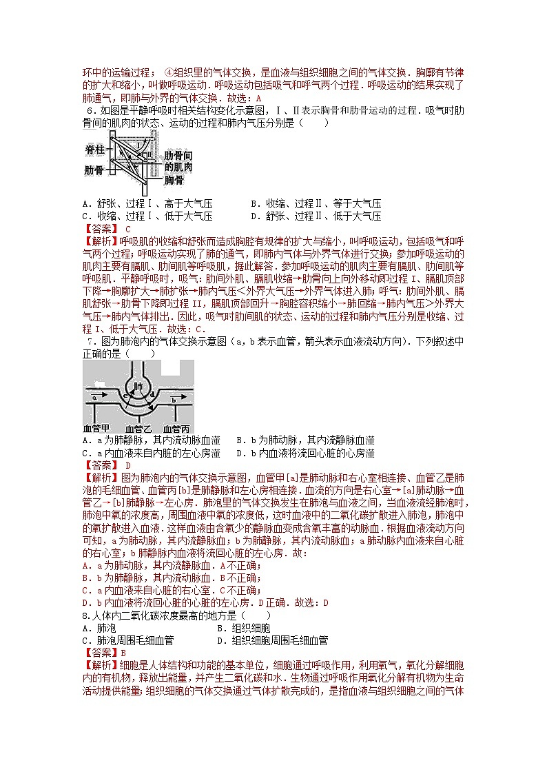 单元复习03 人体的呼吸【专项练习】——2022-2023学年人教版生物七年级下册单元综合复习（原卷版+解析版）02