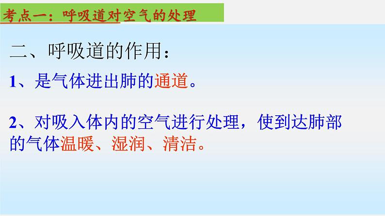 单元复习03 人体的呼吸【知识梳理】——2022-2023学年人教版生物七年级下册单元综合复习04