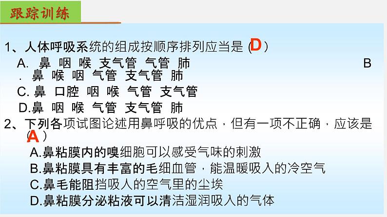 单元复习03 人体的呼吸【知识梳理】——2022-2023学年人教版生物七年级下册单元综合复习05