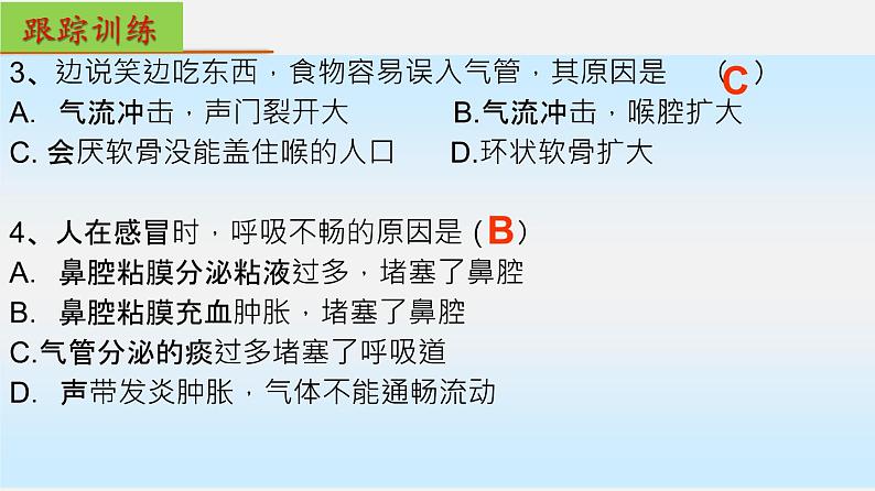 单元复习03 人体的呼吸【知识梳理】——2022-2023学年人教版生物七年级下册单元综合复习06