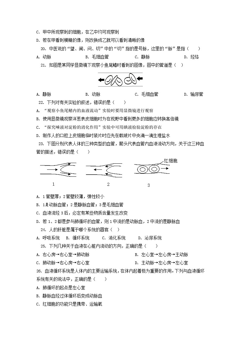 单元复习04 人体内物质的运输【专项练习】——2022-2023学年人教版生物七年级下册单元综合复习（原卷版+解析版）03