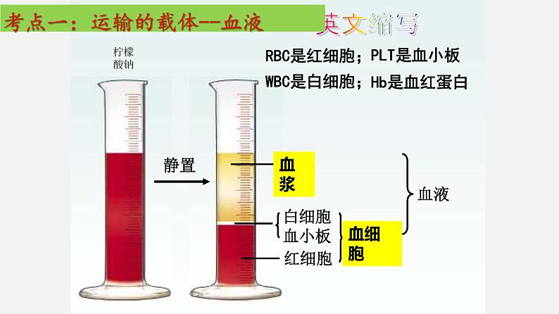 单元复习04 人体内物质的运输【知识梳理】——2022-2023学年人教版生物七年级下册单元综合复习第3页