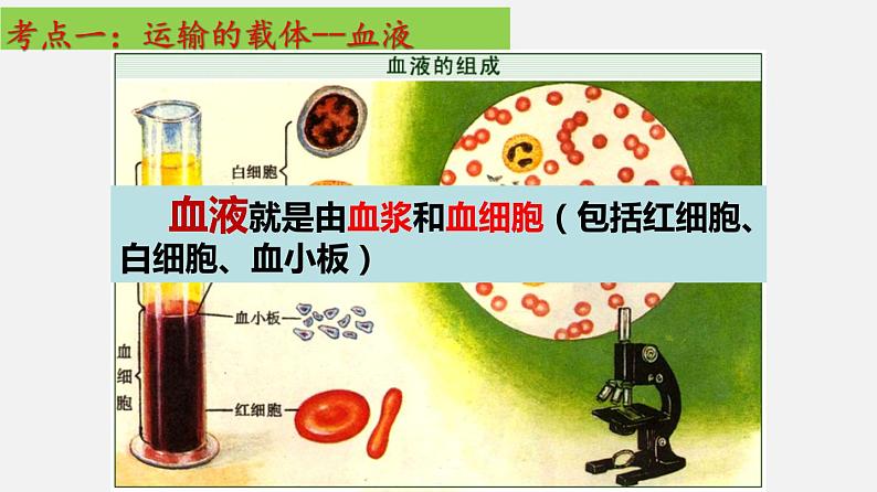 单元复习04 人体内物质的运输【知识梳理】——2022-2023学年人教版生物七年级下册单元综合复习第4页