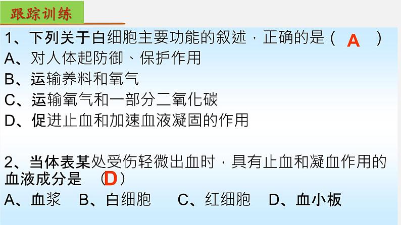 单元复习04 人体内物质的运输【知识梳理】——2022-2023学年人教版生物七年级下册单元综合复习第6页