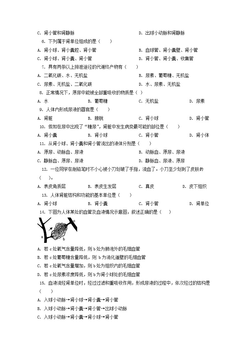 单元复习05 人体内废物的排出【专项练习】（原卷版）第2页