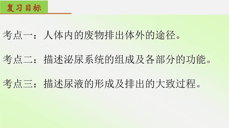 单元复习05 人体内废物的排出【知识梳理】——2022-2023学年人教版生物七年级下册单元综合复习02