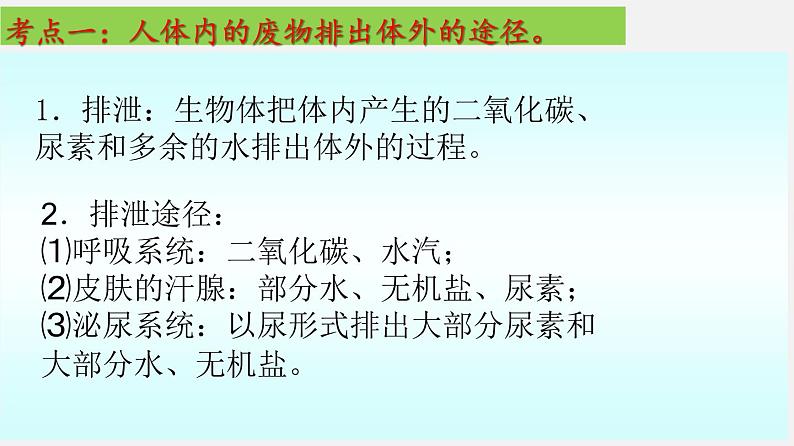 单元复习05 人体内废物的排出【知识梳理】——2022-2023学年人教版生物七年级下册单元综合复习03