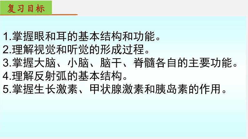 单元复习06 人体生命活动的调节【知识梳理】——2022-2023学年人教版生物七年级下册单元综合复习第2页