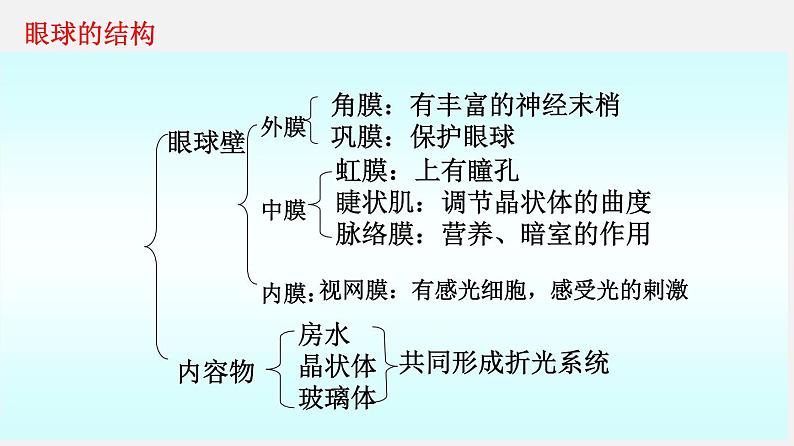 单元复习06 人体生命活动的调节【知识梳理】——2022-2023学年人教版生物七年级下册单元综合复习第4页