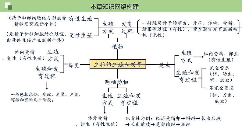 第七单元第1章 生物的生殖和发育（复习课件）——2022-2023学年人教版生物八年级下册单元综合复习第2页